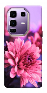 Чехол Нежная хризантема для Infinix Note 50 Pro+