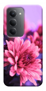 Чехол Нежная хризантема для Xiaomi Redmi 15 (Europe version)