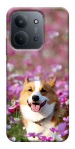 Чехол Корги в цветах для Xiaomi Redmi 15C (Europe version)