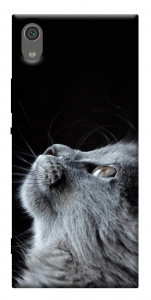 Чехол Cute cat для Sony Xperia XA1