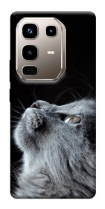 Чехол Cute cat для Infinix Note 50 Pro 4G