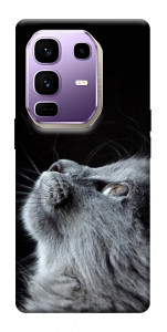 Чехол Cute cat для Infinix Note 50 Pro+