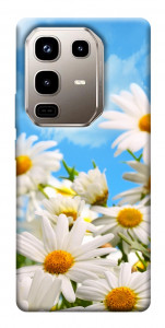 Чехол Ромашковое поле для Infinix Note 50 Pro 4G