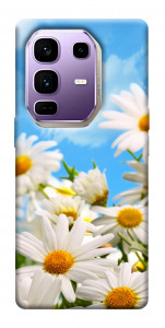 Чехол Ромашковое поле для Infinix Note 50 Pro+