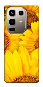 Чехол Букет подсолнухов для Infinix Note 50 Pro 4G