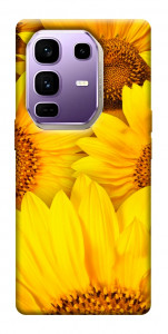 Чехол Букет подсолнухов для Infinix Note 50 Pro+