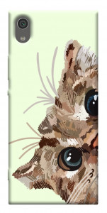 Чехол Cat muzzle для Sony Xperia XA1