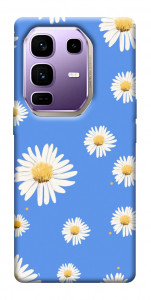Чехол Chamomile pattern для Infinix Note 50 Pro+