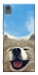 Чехол Samoyed husky для Sony Xperia XA1