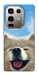 Чехол Samoyed husky для Infinix Note 50 Pro 4G
