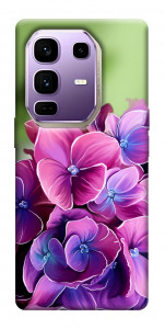 Чехол Кружевная гортензия для Infinix Note 50 Pro+