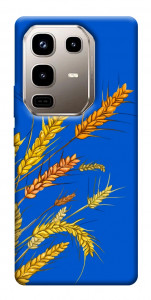 Чехол Колоски для Infinix Note 50 Pro 4G