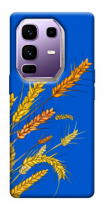 Чехол Колоски для Infinix Note 50 Pro+