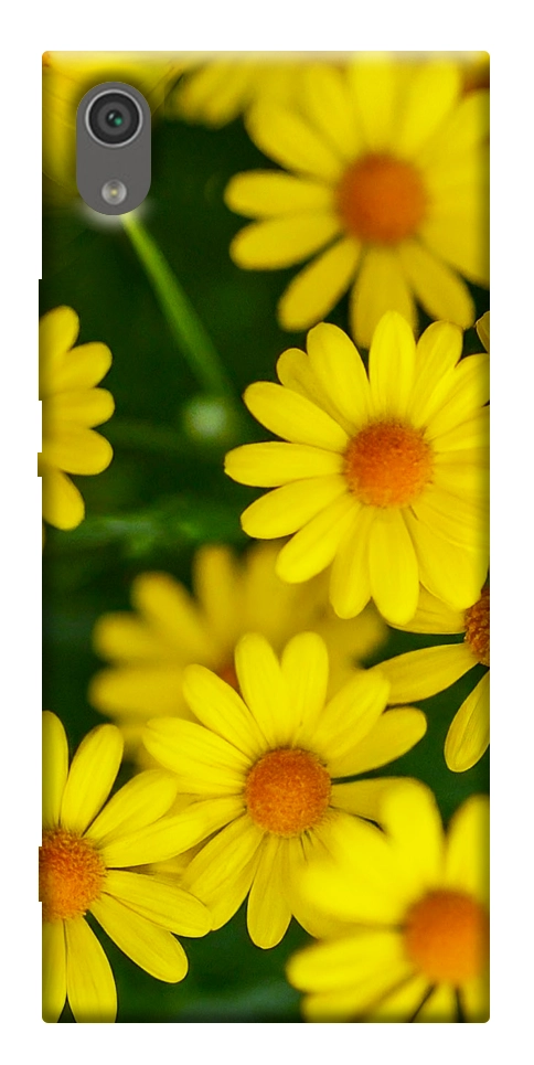 Чехол Yellow chamomiles для Sony Xperia XA1