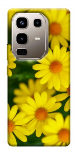 Чехол Yellow chamomiles для Infinix Note 50 Pro 4G