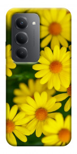 Чехол Yellow chamomiles для Xiaomi Redmi 15 (Europe version)