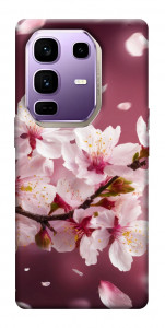 Чехол Sakura для Infinix Note 50 Pro+