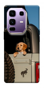 Чехол Dog in the car для Infinix Note 50 Pro+