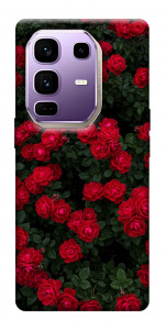 Чехол Eternal roses для Infinix Note 50 Pro+