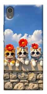Чехол Flower cats для Sony Xperia XA1