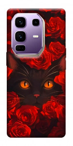 Чехол Rose cat для Infinix Note 50 Pro+