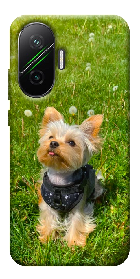 Чехол Йорк в траве для Xiaomi Poco F7