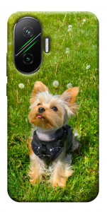 Чехол Йорк в траве для Xiaomi Poco F7