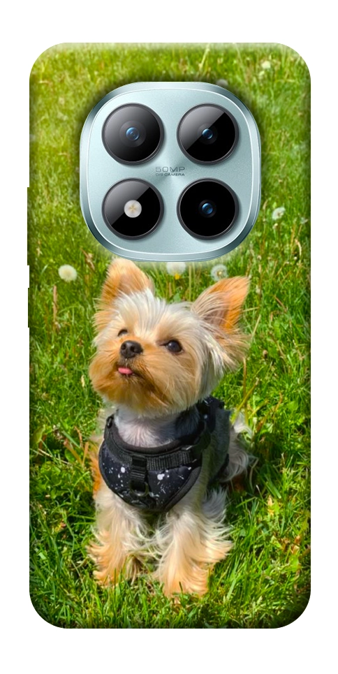 Чехол Йорк в траве для Xiaomi Redmi Note 15 Pro+ 5G