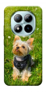 Чехол Йорк в траве для Xiaomi Redmi Note 15 Pro+ 5G