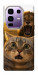 Чехол Shocked cat and lion для Infinix Note 50 Pro+