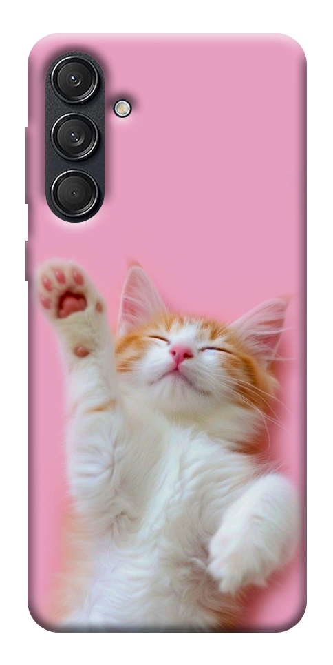 Чохол Сat chill для Galaxy M55