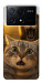 Чехол Shocked cat and lion для Xiaomi Poco X6 Pro