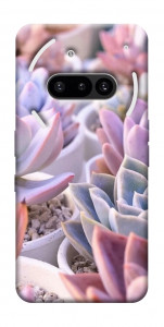 Чехол Эхеверия 2 для Nothing Phone (3a)