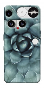 Чехол Суккуленты для Nothing Phone (3)