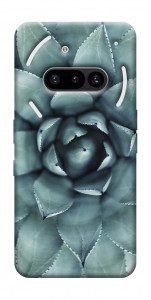 Чехол Суккуленты для Nothing Phone (3a)