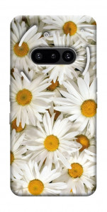 Чехол Chamomile для Nothing Phone (3a)
