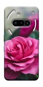 Чехол Роза в саду для Nothing Phone (3a)
