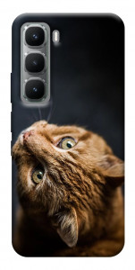 Чехол Рыжий кот для Infinix Hot 60 Pro+