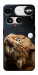Чехол Рыжий кот для Nothing Phone (3)