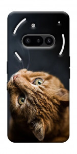 Чехол Рыжий кот для Nothing Phone (3a)