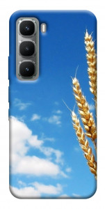Чохол Пшениця для Infinix Hot 60
