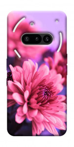 Чехол Нежная хризантема для Nothing Phone (3a)