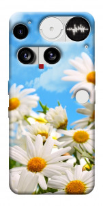 Чехол Ромашковое поле для Nothing Phone (3)