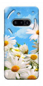 Чехол Ромашковое поле для Nothing Phone (3a)