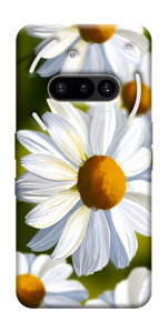 Чехол Ароматная ромашка для Nothing Phone (3a)