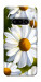 Чехол Ароматная ромашка для Nothing Phone (3a)