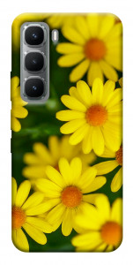 Чехол Yellow chamomiles для Infinix Hot 60 Pro