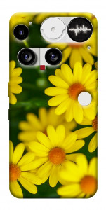 Чехол Yellow chamomiles для Nothing Phone (3)