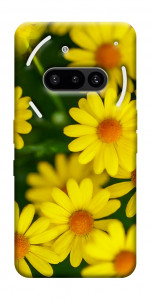 Чехол Yellow chamomiles для Nothing Phone (3a)