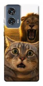 Чохол Shocked cat and lion для Motorola Edge 50 Fusion